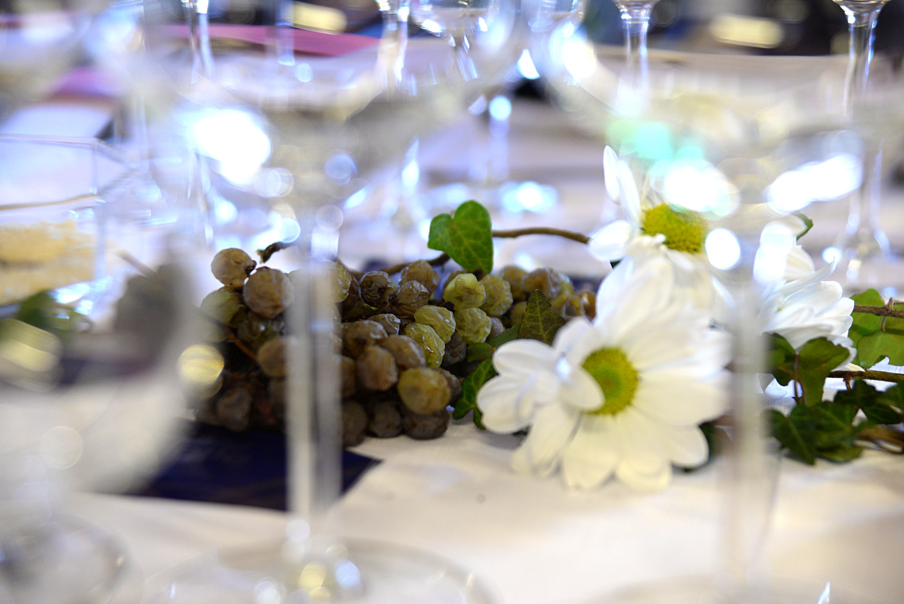 DSC_1238