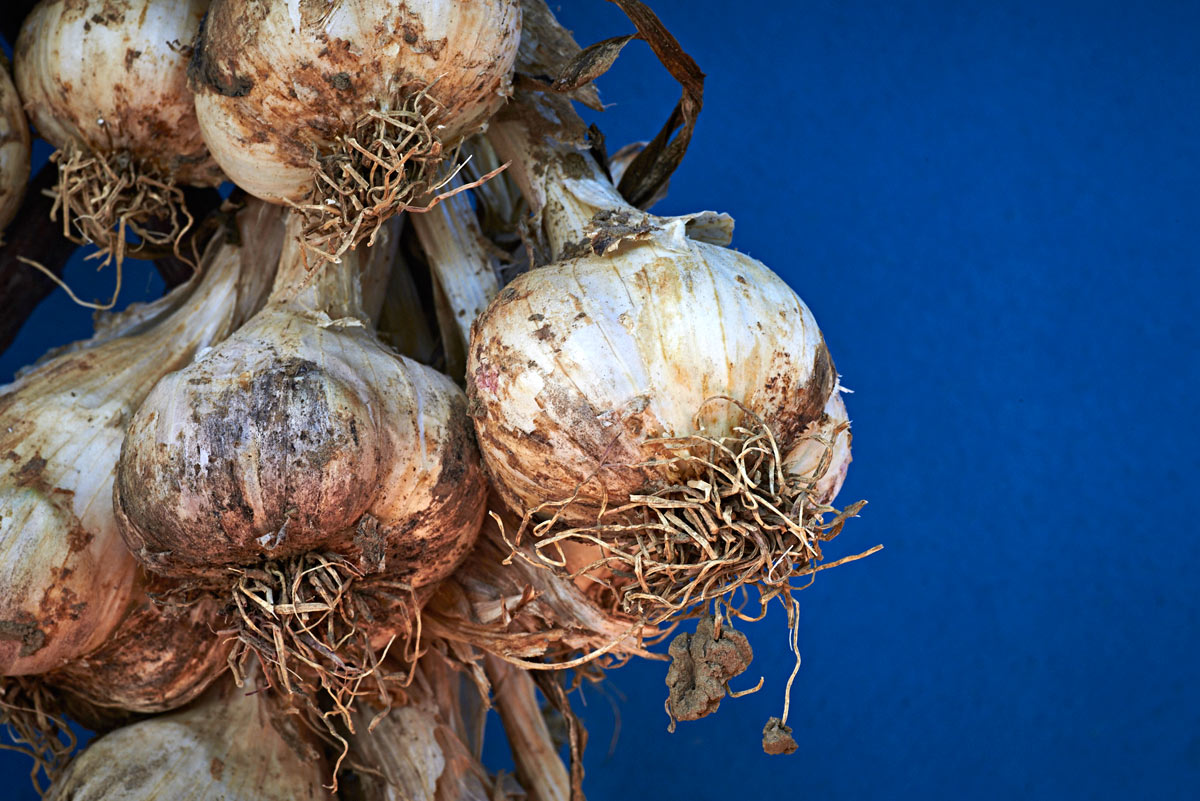 DSC_7050